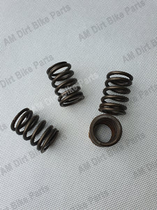 Husqvarna TE250 Valve Springs 800091579